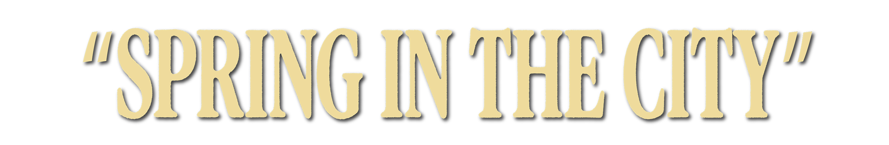 Video Logo