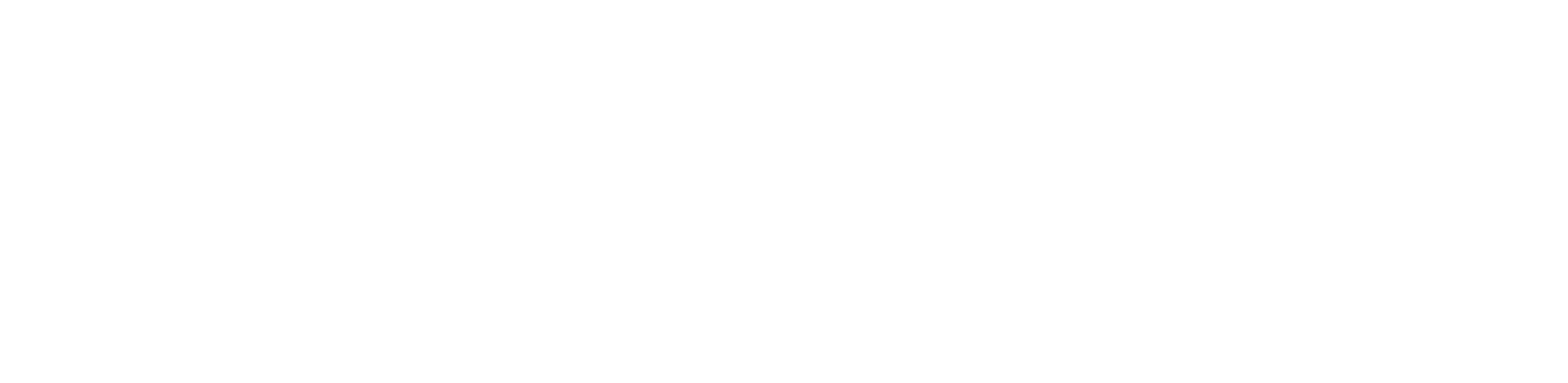 Video Logo